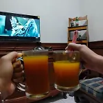 Human House